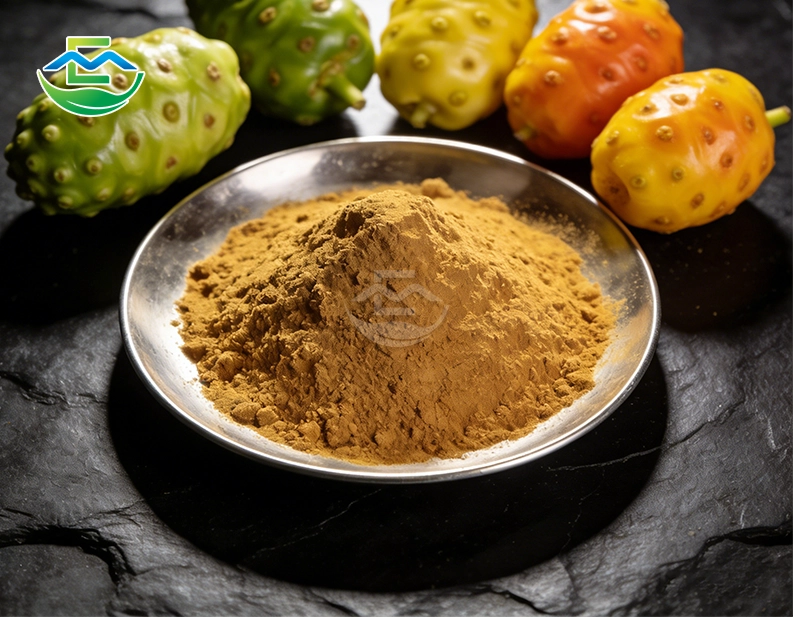 Noni Extract